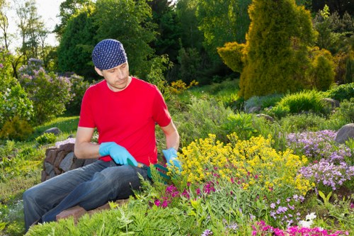 East Ham professional gardening team working on a residential garden